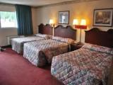 Deluxe Sextuple room