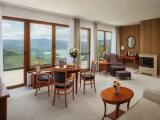 Deluxe Suite with river view
