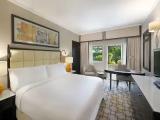 Patio Double room with pool view