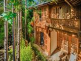 Deluxe Double room with garden view