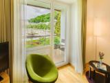 Deluxe Double room with park view