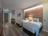 Deluxe Superior Twin room