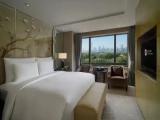 Executive Double Suite