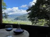 Standard room with view