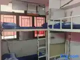 Bed in Dorm