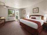Standard Double room with balcony and with pool view