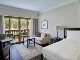 Deluxe Double room with balcony and with garden view