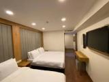 Standard Family Basement room