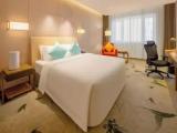 Executive room with city view