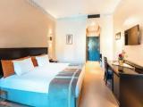 Standard Double room with balcony and with garden view