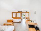 Economy Apartment with balcony
