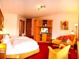 Standard Single room with garden view