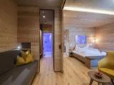 1 Bedroom Luxury Suite with view