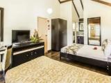 Villa with garden view