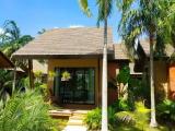 Villa with garden view