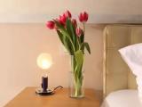 Deluxe Double Junior Suite