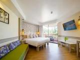 Deluxe Double room with garden view