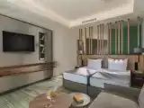 Standard room with park view