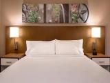 Premium Double Guest room