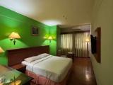 Superior room with city view