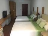 Standard Double room with garden view
