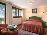 Standard Double room with garden view