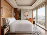 Single Suite with city view