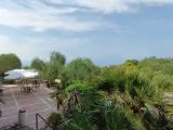 Standard Single room with balcony and with garden view