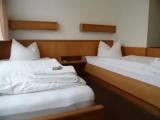 Standard Double room with garden view