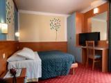 Standard Double room with mountain view