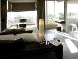 Single Suite