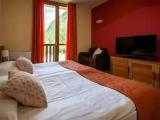 Standard Double room with mountain view