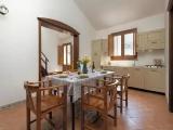 Basement Apartment