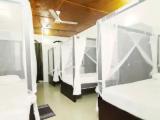 Bed in Dorm