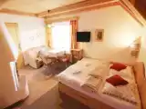 Comfort Suite
