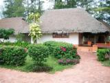 Premium Bungalow