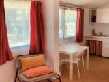 Apartment with garden view