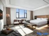 Standard Double room with river view