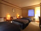Standard Triple room with city view