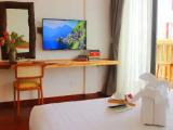 Deluxe Double room with balcony and with city view