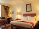 Deluxe Double room with balcony and with river view