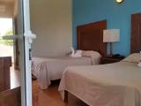 Superior room with city view