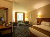 Junior Suite with city view