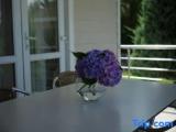 1 Bedroom Double Villa