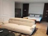 Luxury Studio