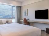 Deluxe room with lake view
