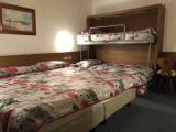 Standard Quadruple room with balcony and with garden view