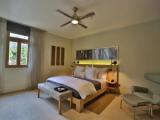 Deluxe Suite with water view