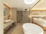 Deluxe Suite with balcony and with mountain view