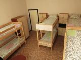 Bed in Dorm